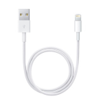 Apple Cavo Lightning to USB2.0 0.5m Bianco