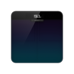 AMAZFIT SMART SCALE