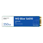 WD Blue SA510 WDS250G3B0B - SSD - 250 GB - interno - M.2 2280 - SATA 6Gb/s - blu